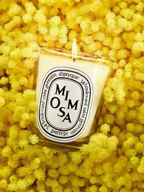 NIB Diptyque Mimosa Classic Candle, 6.5oz